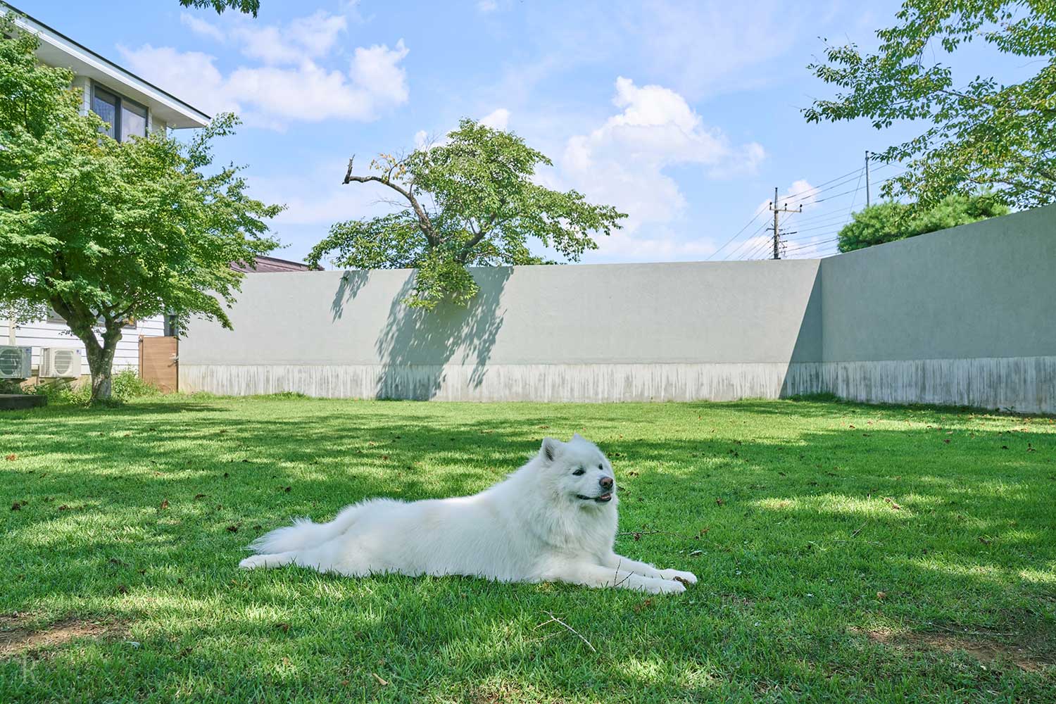 ワンちゃんも満足なペットアメニティ